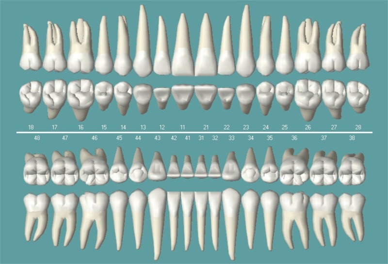 Odontograma Clinica De Diagnóstico En Odontología 2872